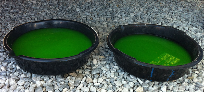 One of many toxic fluids that may or may not drive me to an early grave. Photo credit: Stef Schrader